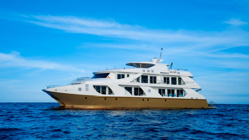 catamaran(1)