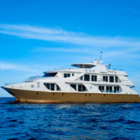 catamaran(1)