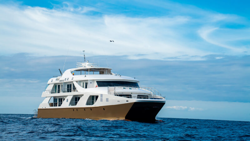 catamaran(3)