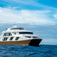 catamaran(3)