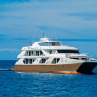 catamaran(4)