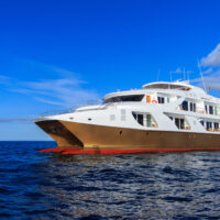 catamaran(5)
