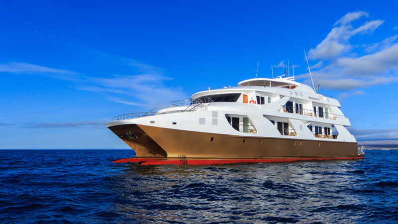 catamaran(5)