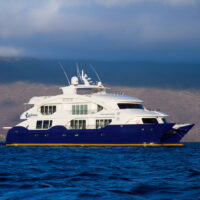 LuxuryCatamaran-F7(4)