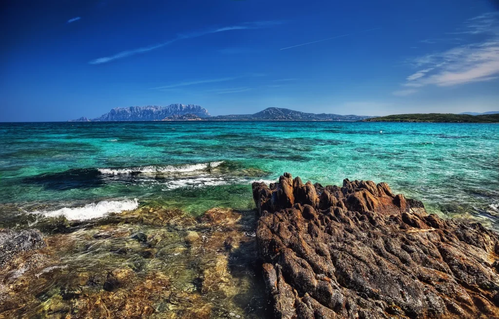 OLBIA