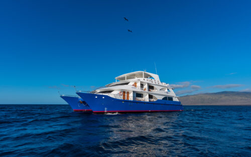 OS CATAMARAN