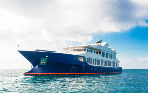 ORIGIN-THEORY AND EVOLVE MONOHULL